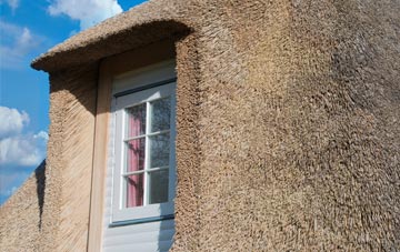 Talywain thatch roof disadvantages